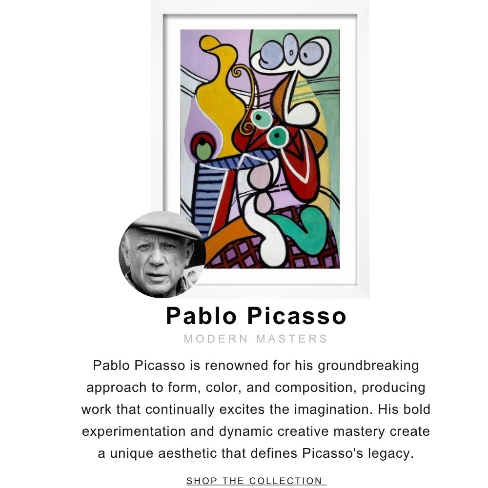 Hero 6 Shop Pablo Picasso
